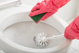 Toilette wird geputzt: Die Reinigung der Toilette mit Desinfektionsmitteln oder anti-bakteriellen Reinigungsmitteln ist nicht sinnvoll.