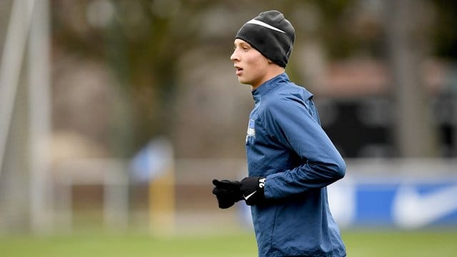 Hertha BSC will Palko Dardai verleihen.
