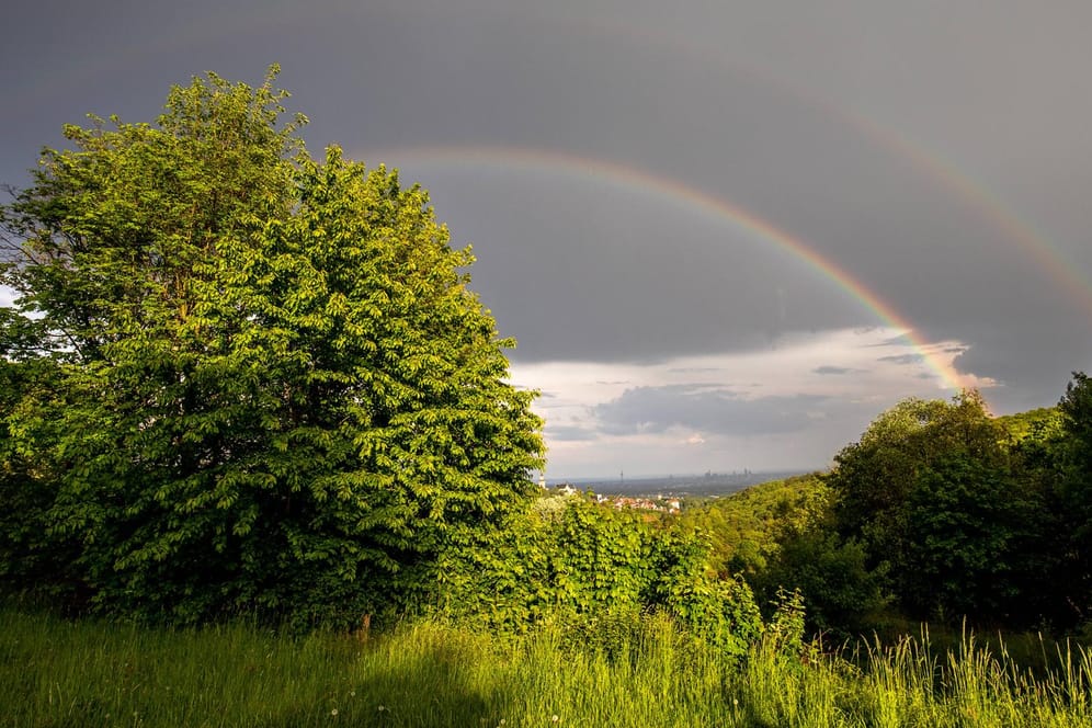 Ein Regenbogen über üppigem Grün: Das Wetter über Deutschland präsentiert sich dieser Tage wechselhaft.