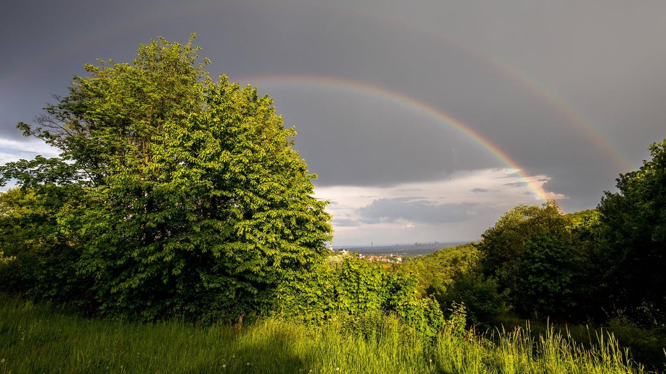 Ein Regenbogen über üppigem Grün: Das Wetter über Deutschland präsentiert sich dieser Tage wechselhaft.