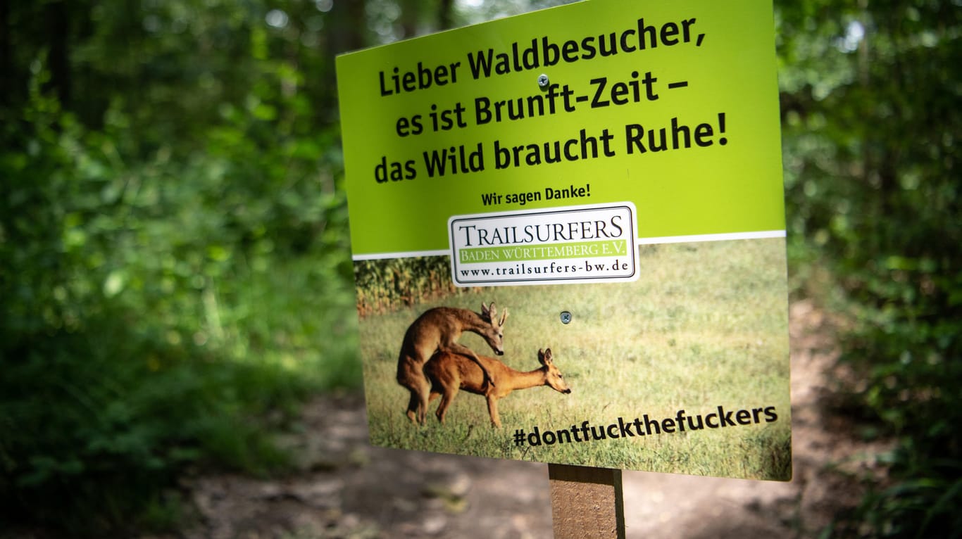 Plakat in Beilstein: Diese Warnschilder hat ein Verein von Mountainbikern im Wald aufgestellt.