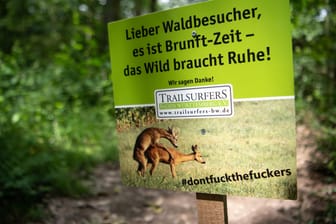 Plakat in Beilstein: Diese Warnschilder hat ein Verein von Mountainbikern im Wald aufgestellt.
