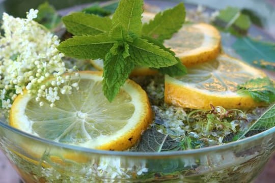 Der Holunderblüten-Minz-Sirup von Elisabeth Engler gibt Erfrischungsgetränken eine besondere Note.