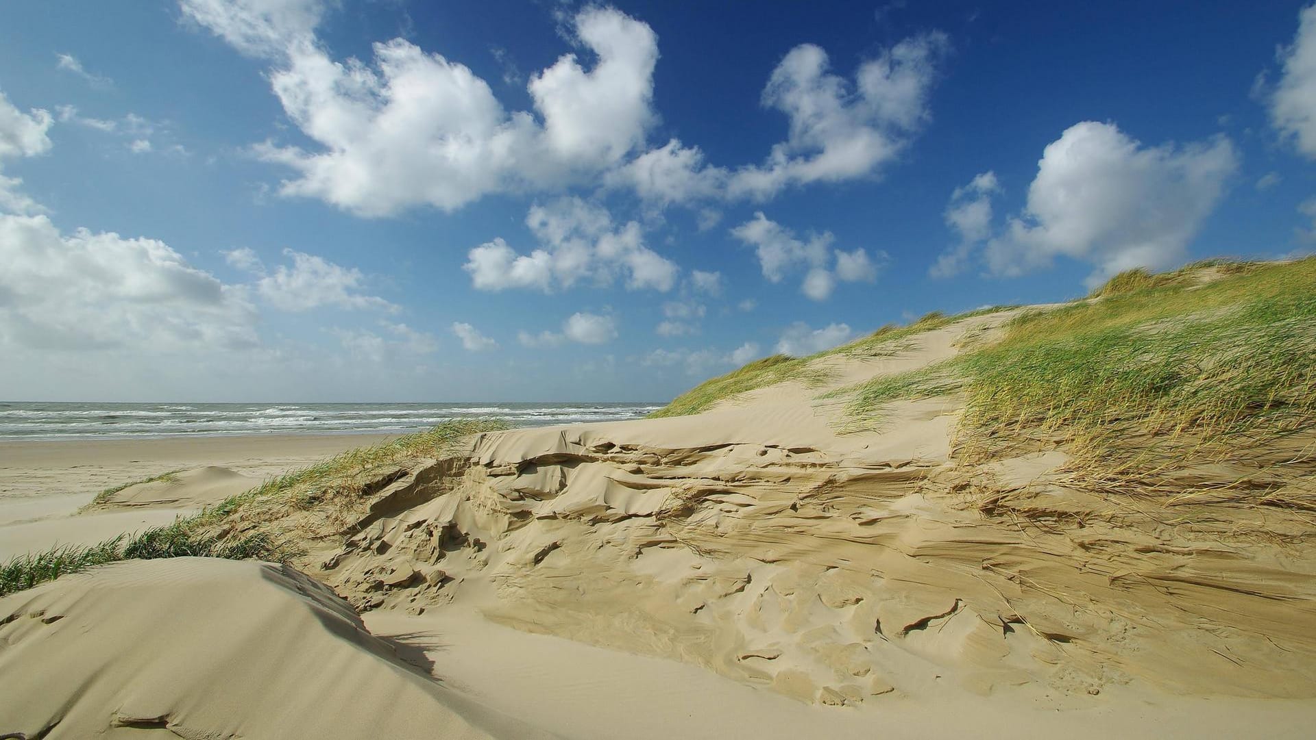 Bergen aan Zee: Das Seebad befindet sich in der Region Bergen und zählt zu den beliebtesten Stränden in den ganzen Niederlanden.