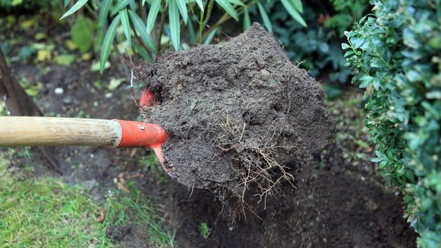 Sollen die Pflanzen im Garten gut gedeihen, muss der Boden gepflegt und mit Nährstoffen versorgt werden.