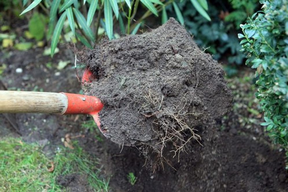 Sollen die Pflanzen im Garten gut gedeihen, muss der Boden gepflegt und mit Nährstoffen versorgt werden.