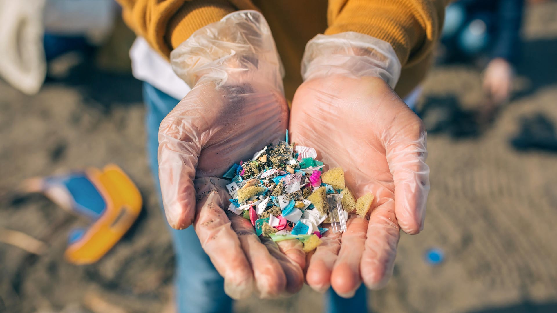 Gesammeltes Mikroplastik: Wissenschaftler fanden kleinste Partikel davon im menschlichen Darm.