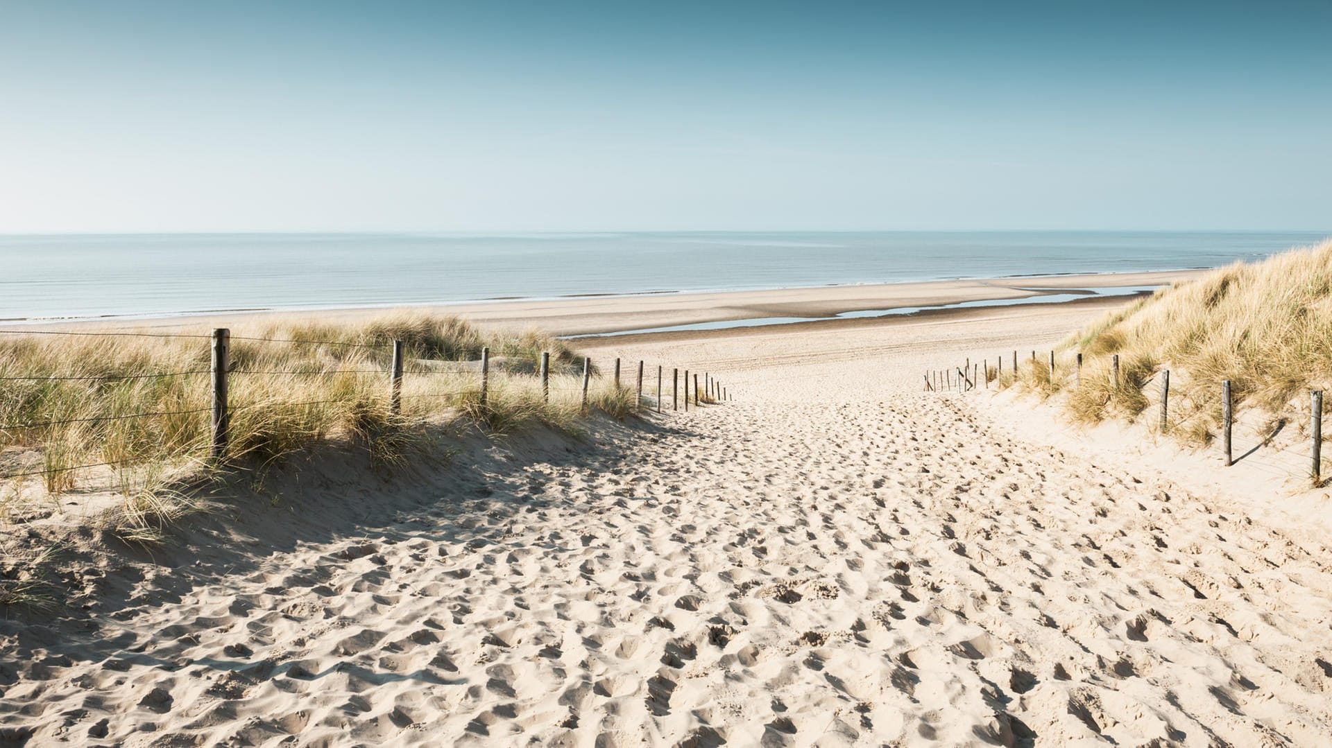 Noordwijk: Spaziergänge in den Dünenlandschaften sind hier auch mit Hunden erlaubt.