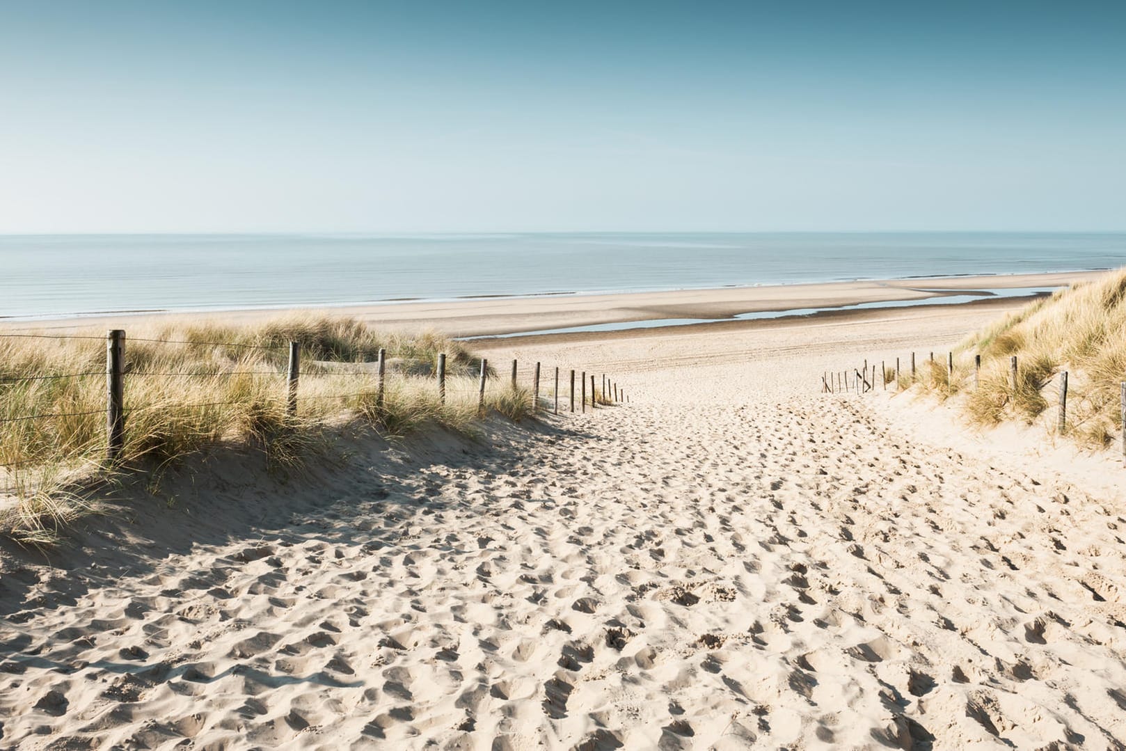 Noordwijk: Spaziergänge in den Dünenlandschaften sind hier auch mit Hunden erlaubt.