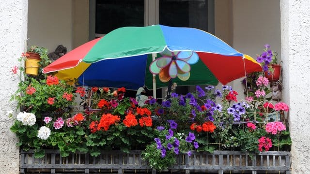 Zieht Sturm auf, müssen Blumenkästen und andere Gegenstände auf dem Balkon gut gesichert sein.