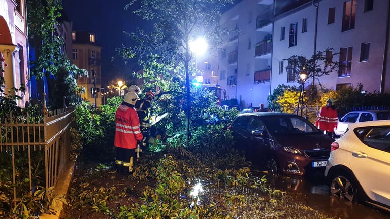 Feuerwehrleute räumen Äste in einer Straße weg: In der brandenburgischen Landeshauptstadt Potsdam musste die Feuerwehr mehr als 100 Mal ausrücken.