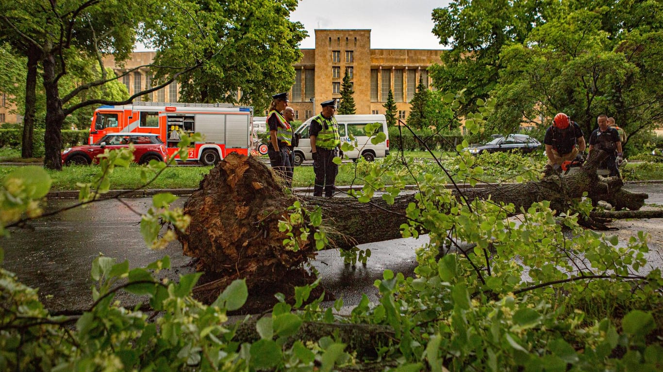 Unwetterfront in Berlin: Am Tempelhofer Damm stürzte ein Baum auf die Fahrbahn. Auch am Donnerstag wird es in der Haupfstadt noch Behinderungen nach dem Unwetter geben.