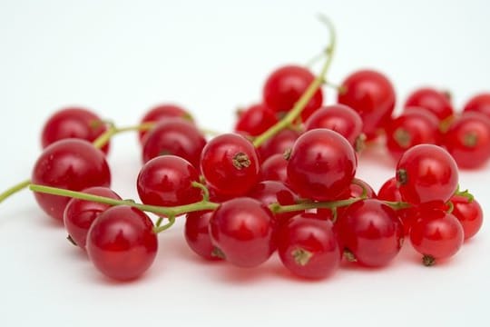 Johannisbeeren werden am besten mit Stiel gewaschen.