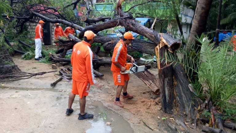 Entwurzelte Bäume nach dem Zyklon "Vayu": Im Bundesstaat Gujarat wird mit Windgeschwindigkeiten von bis zu 160 Kilometern pro Stunde und starken Regenfällen gerechnet.