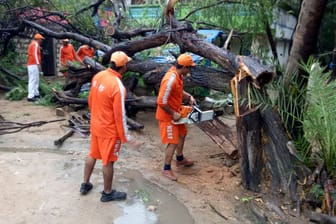 Entwurzelte Bäume nach dem Zyklon "Vayu": Im Bundesstaat Gujarat wird mit Windgeschwindigkeiten von bis zu 160 Kilometern pro Stunde und starken Regenfällen gerechnet.