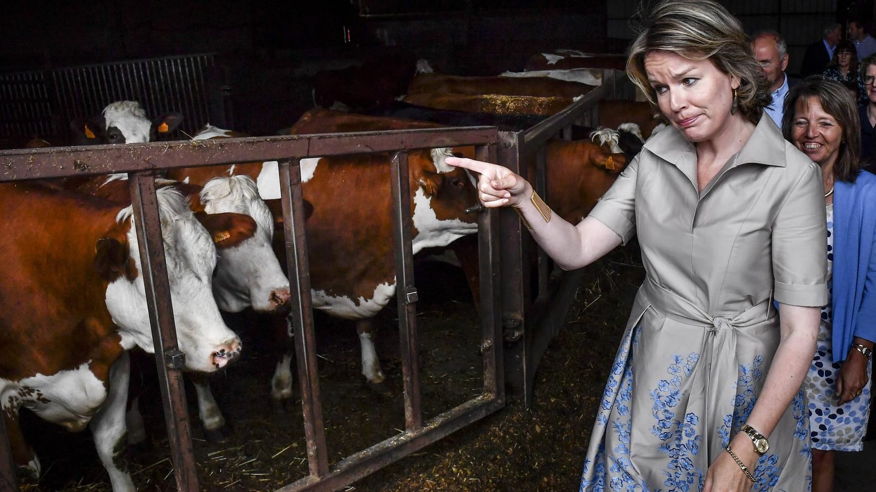 Königin Mathilde der Belgier: Sie war zu Besuch auf einer Farm in Heers und Lummen.