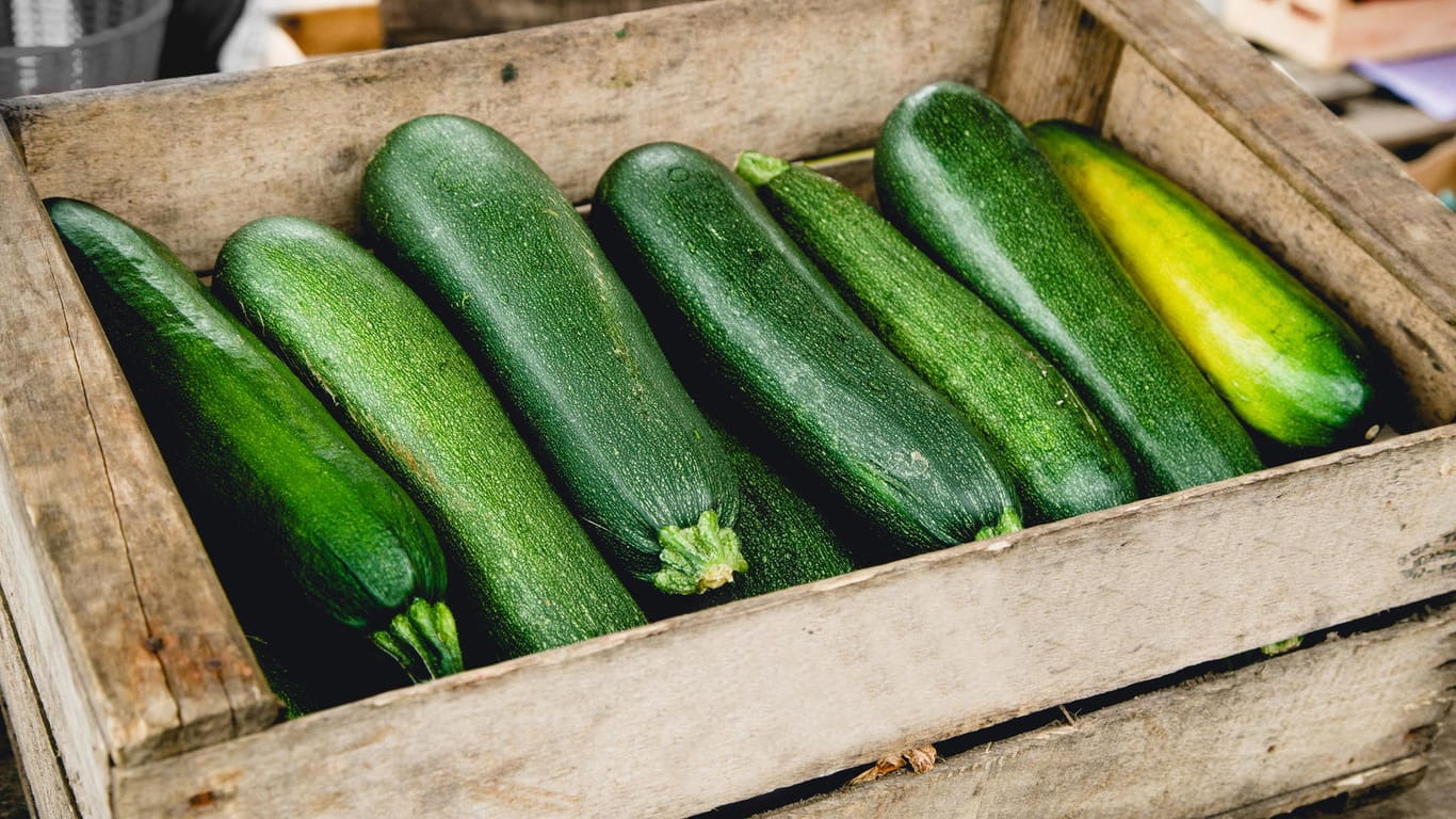 Zucchini in einer Holzkiste: Für eine reife Ernte sollten Sie Pflanzen an den richtigen Standort setzen und die Früchte zu einem bestimmten Zeitpunkt ernten.
