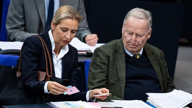 Beide "Wessis": die AfD-Fraktionsvorsitzenden Alice Weidel und Alexander Gauland.