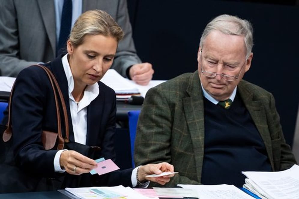Beide "Wessis": die AfD-Fraktionsvorsitzenden Alice Weidel und Alexander Gauland.