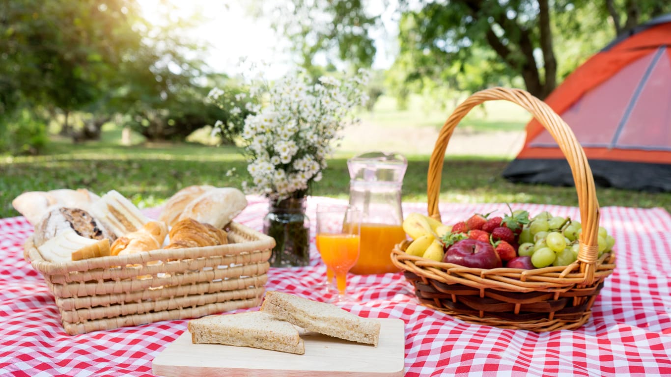 Picknickdecke auf einer Wiese: Wir stellen schöne und praktische Picknickdecken vor