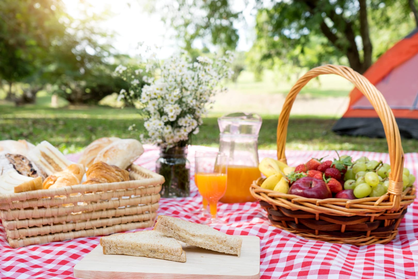 Picknickdecke auf einer Wiese: Wir stellen schöne und praktische Picknickdecken vor