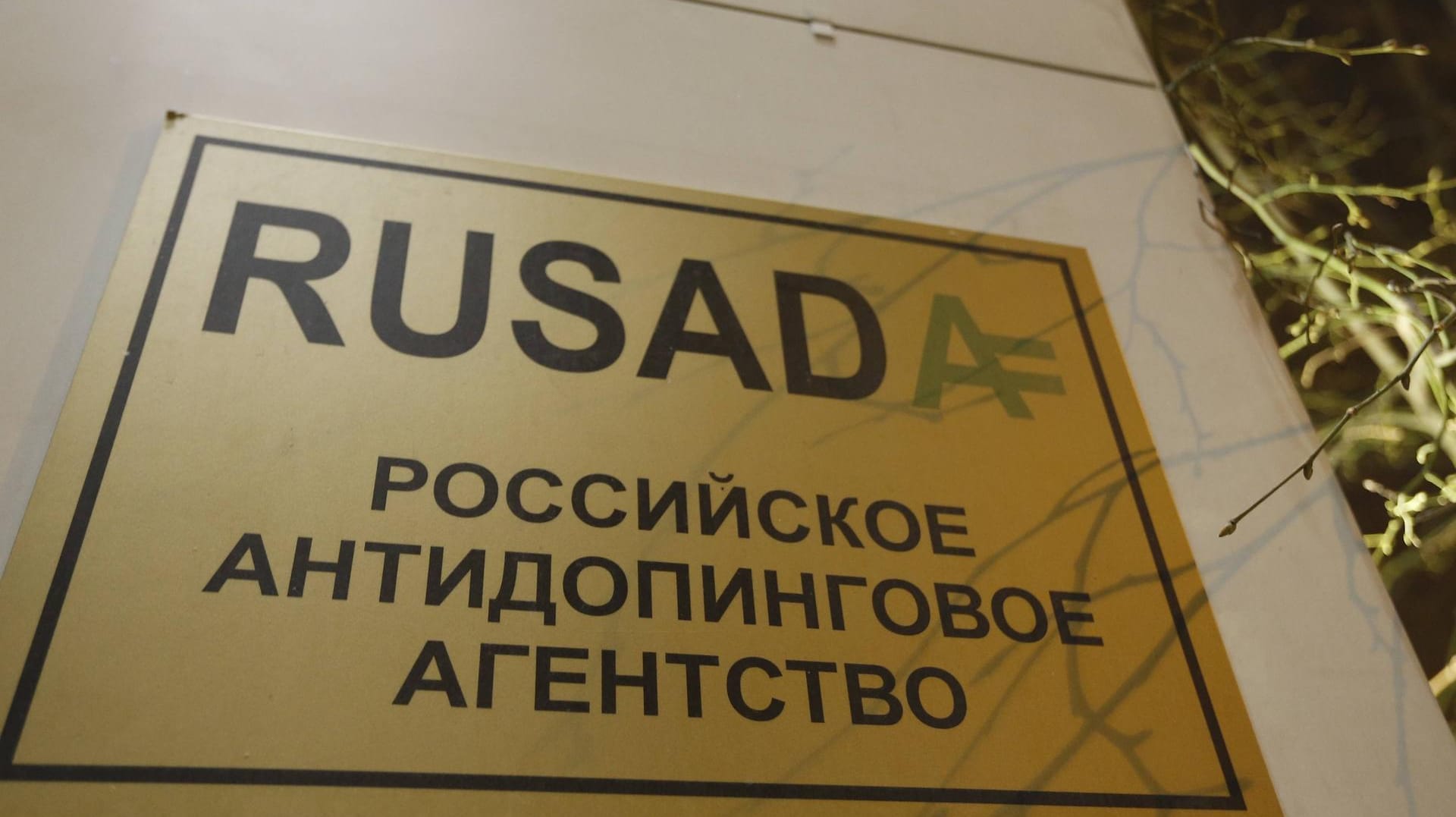 Viel beschäftigt: Russlands Anti-Doping-Agentur Rusada.