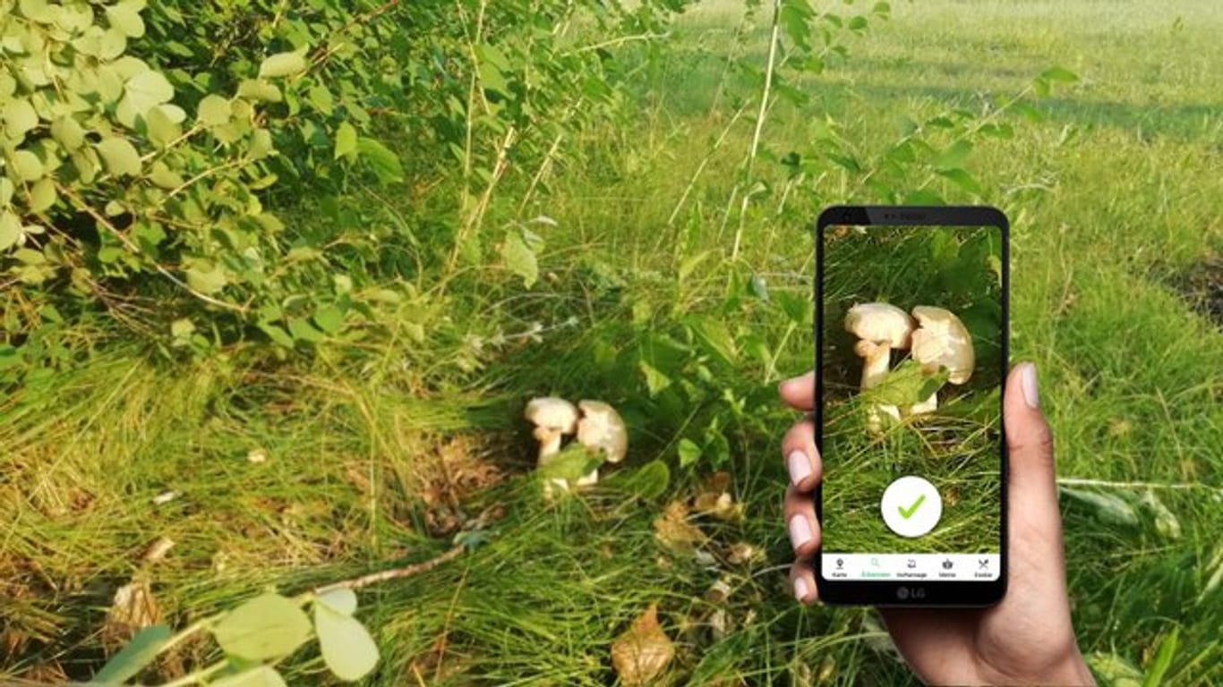 "Pilzator" auf dem Smartphone: Sollen Pilze verzehrt werden, darf man sich aber nicht allein auf eine automatische Erkennung verlassen.