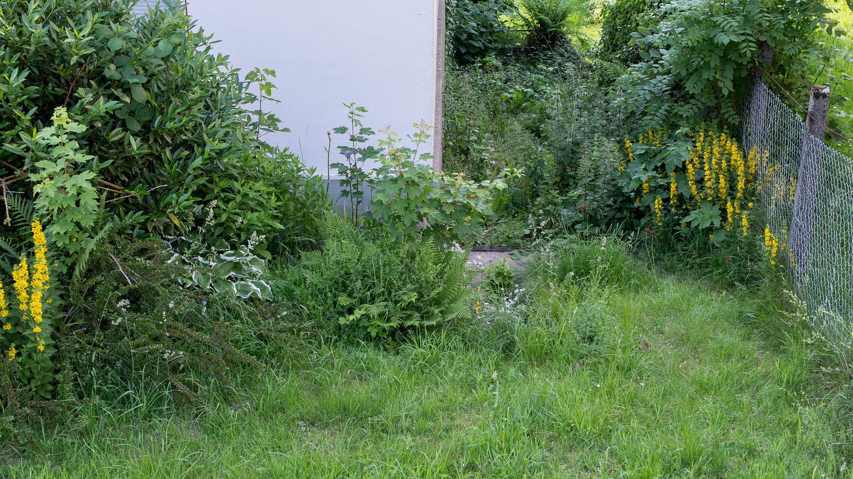 Der Fundort in Kierspe in NRW: Die Mutter hatte ihr Neugeborenes in einem zugeknoteten Müllsack im Hausmüll entsorgt. Stundenlang lag das Mädchen dort.