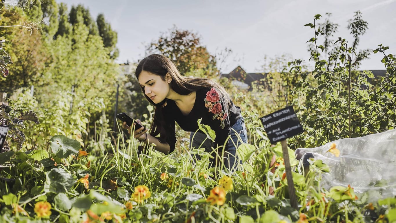 Eine Frau fotografiert im Garten eine Pflanze mit ihrem Handy: Mit dem Handy in der Natur können Sie nun viel über die Flora und Fauna lernen.