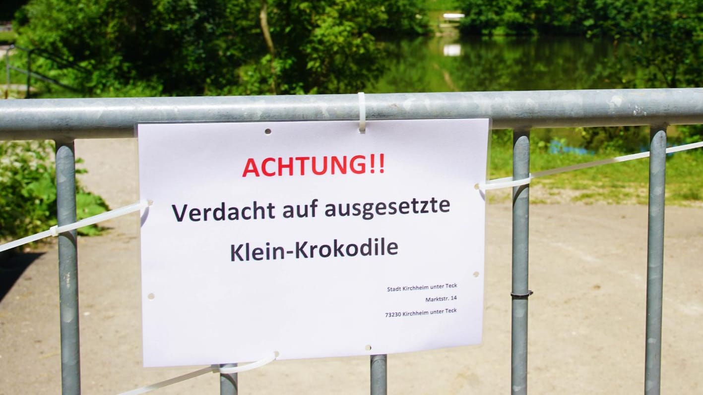 Seen wegen ausgesetzter Klein-Krokodile abgesperrt