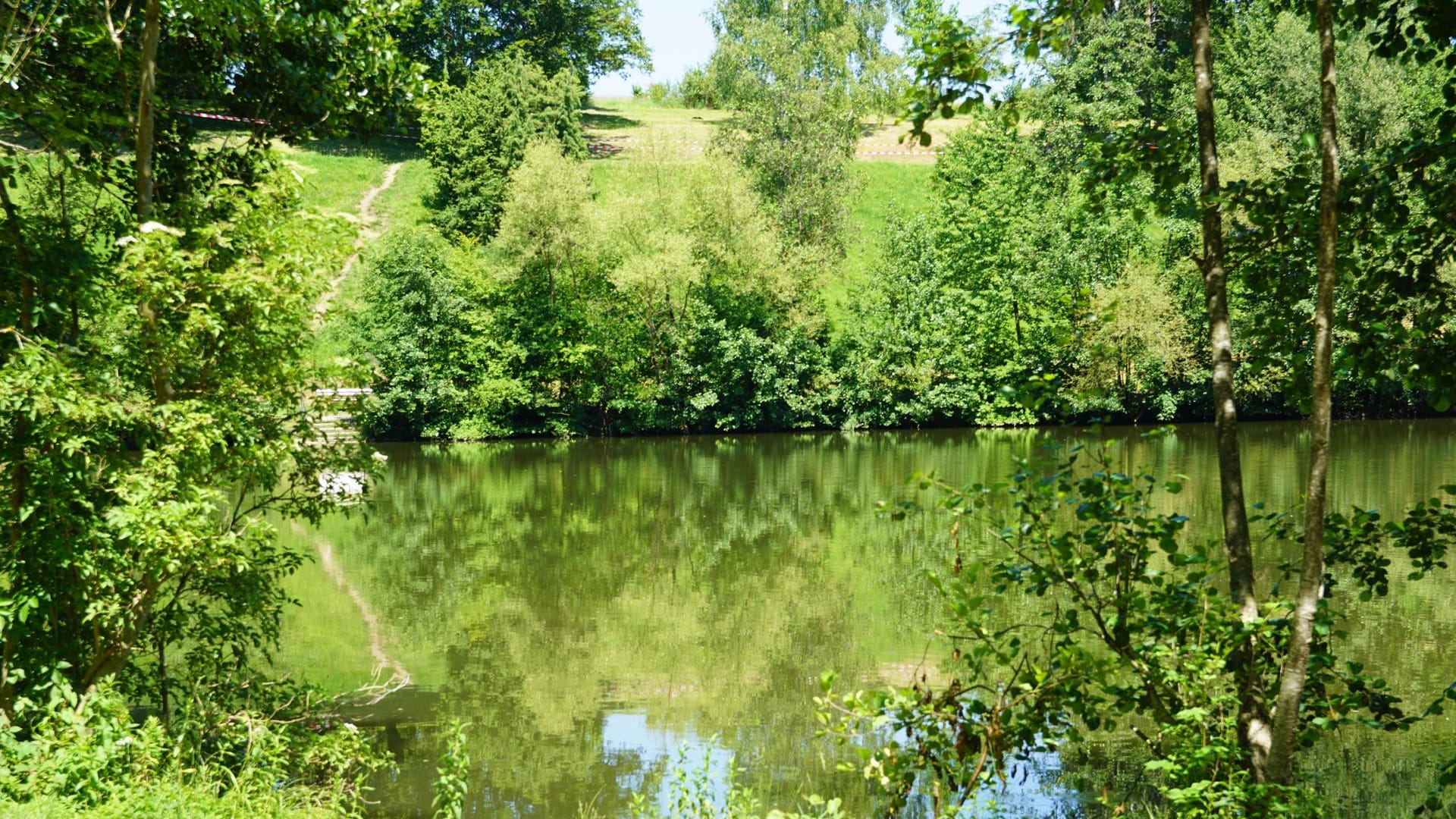 Bürgersee in Kirchheim unter Teck: Hier sollen drei Krokodile gesichtet worden sein.