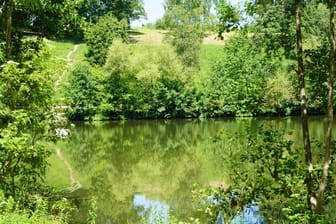 Bürgersee in Kirchheim unter Teck: Hier sollen drei Krokodile gesichtet worden sein.