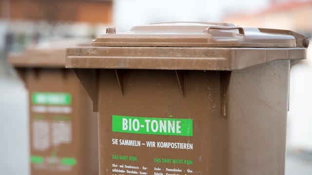 Bestimmte Gartenabfälle können - auch bei Schädlingsbefall - in der Biotonne entsorgt werden.