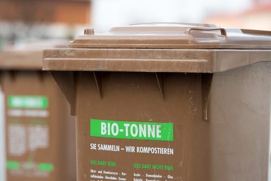 Bestimmte Gartenabfälle können - auch bei Schädlingsbefall - in der Biotonne entsorgt werden.