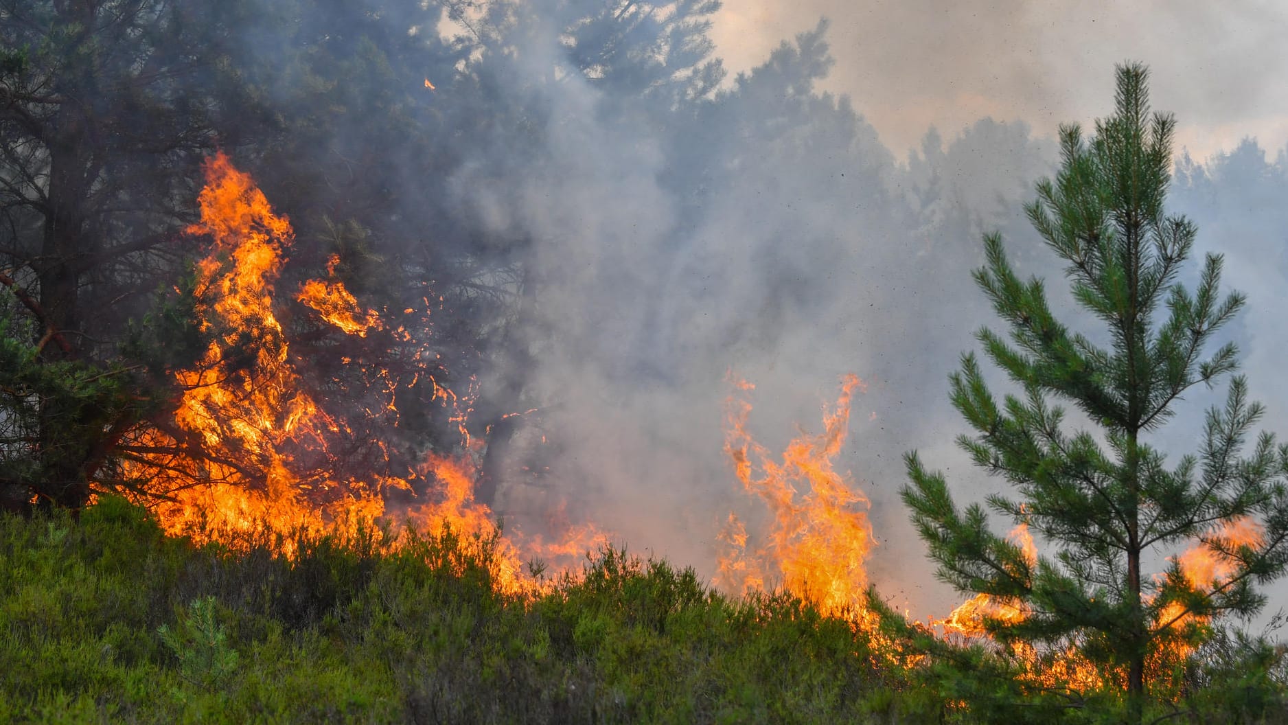 Waldbrand in Brandenburg im Juli 2018.