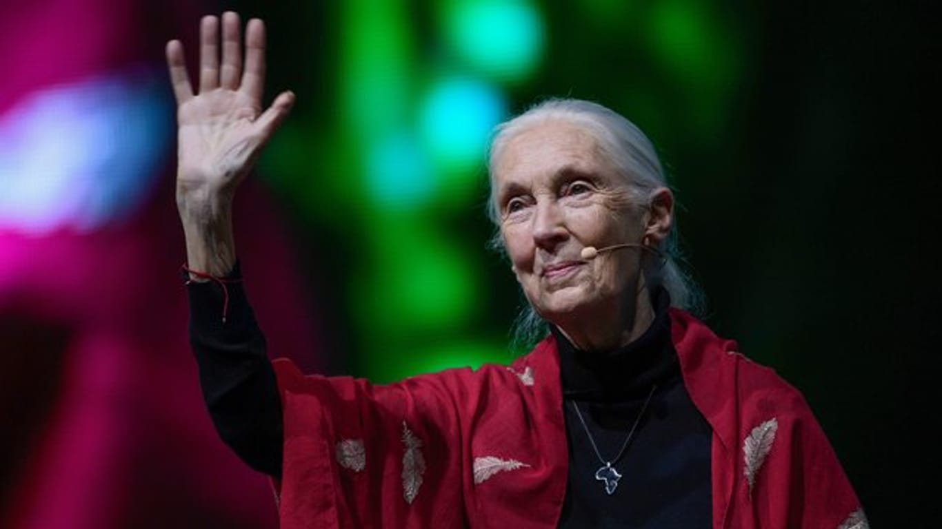 Die britische Verhaltensforscherin Jane Goodall bei ihrem Vortrag "Reasons for Hope" in München.