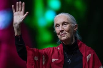 Die britische Verhaltensforscherin Jane Goodall bei ihrem Vortrag "Reasons for Hope" in München.