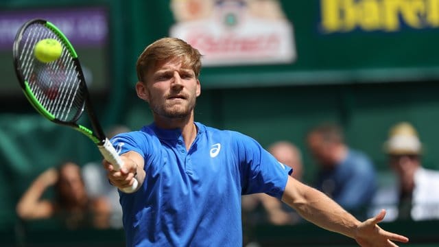 David Goffin steht in Halle im Endspiel.