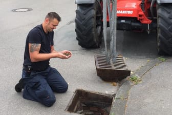 Feuerwehr rettet Entenküken mit Teleskoplader