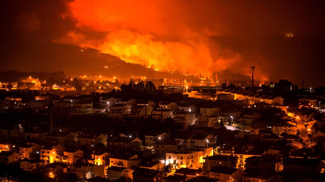 Waldbrände in Portugal: Aktuelle Studien zeigen: Der Klimawandel hat bereits jetzt konkrete Auswirkungen auf unser Leben.