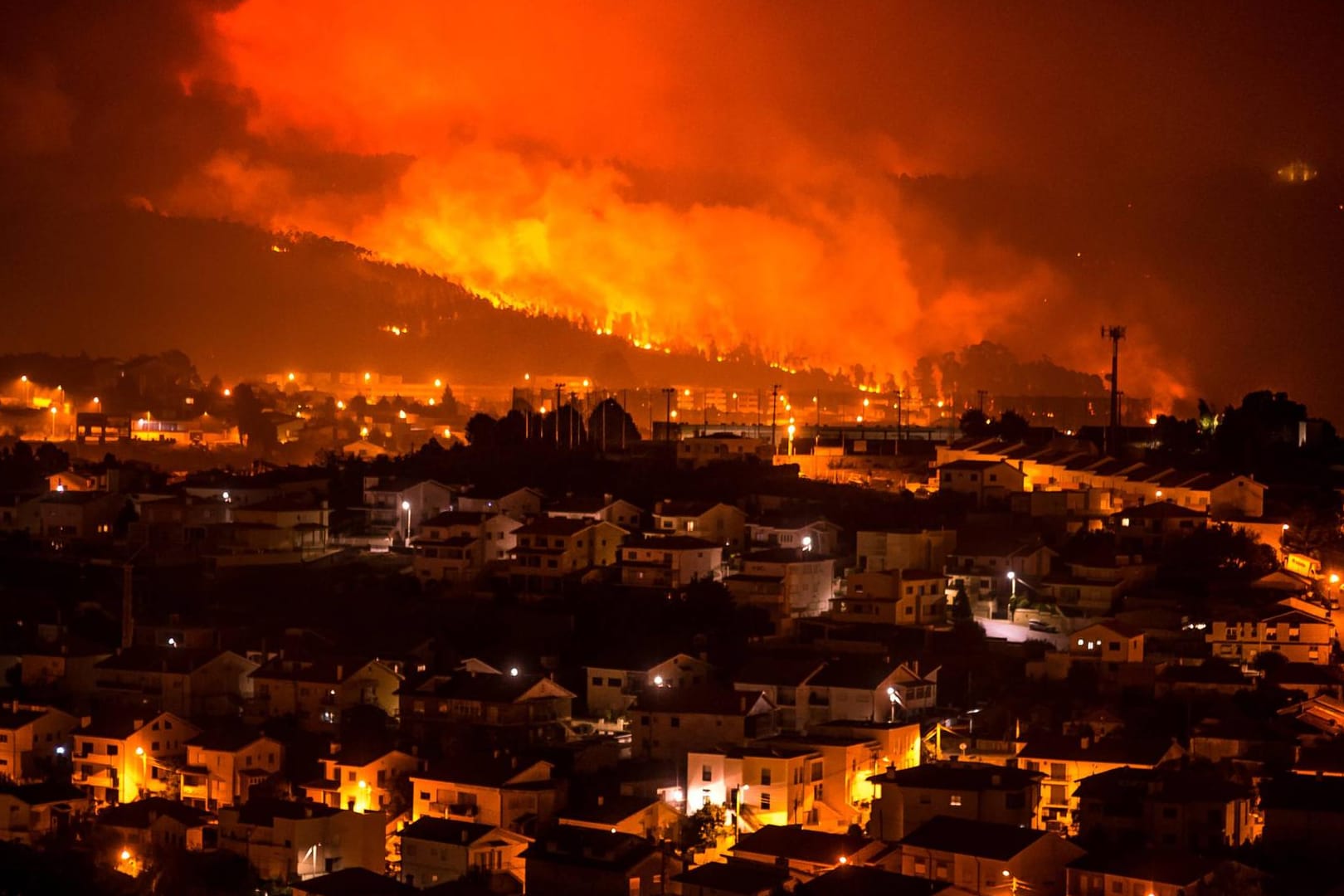 Waldbrände in Portugal: Aktuelle Studien zeigen: Der Klimawandel hat bereits jetzt konkrete Auswirkungen auf unser Leben.