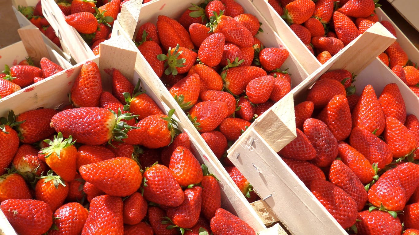 Erdbeerkisten: Erdbeerliebhaber müssen 2019 für das Obst tiefer in die Tasche greifen.