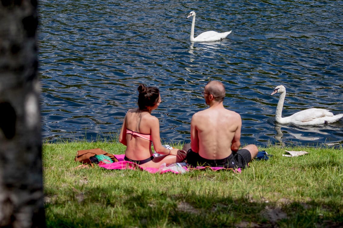 Ein Paar beim Sonnenbad in Berlin: In der nächsten Woche ist in ganz Deutschland mit Hitze zu rechnen.