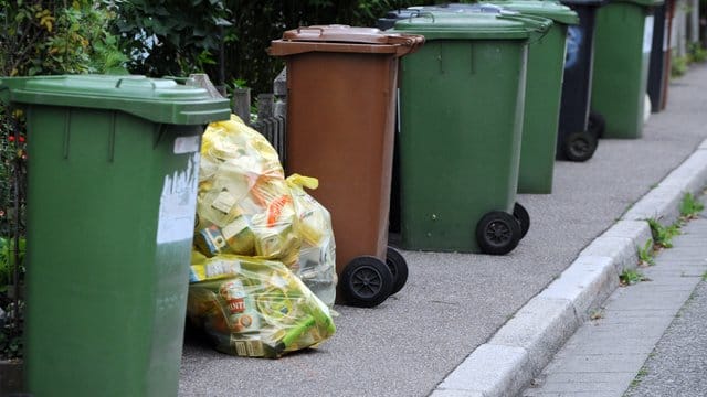 Gegen lästige Insekten an Mülltonnen helfen Essiglösungen oder Kalkstreu.