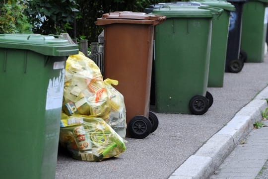 Gegen lästige Insekten an Mülltonnen helfen Essiglösungen oder Kalkstreu.