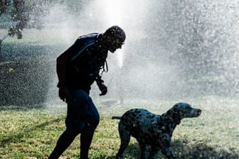 Sommer in Berlin: Ein Mann und ein Hund laufen unter einer Wasserfontäne hindurch.