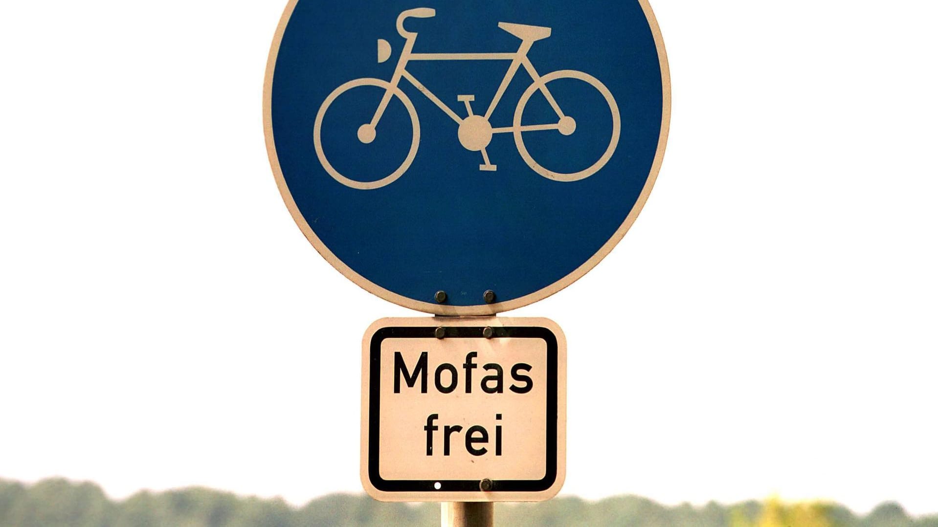 "Mofas Frei"-Straßenschild: In einer Ortschaft ist es Voraussetzung, damit Mofas auf dem Radweg fahren dürfen.