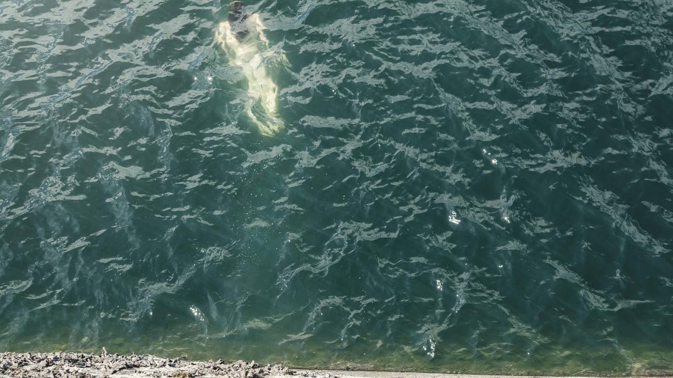 Schwimmen im See: Drei Jugendliche versuchten Kleinkind zuretten.