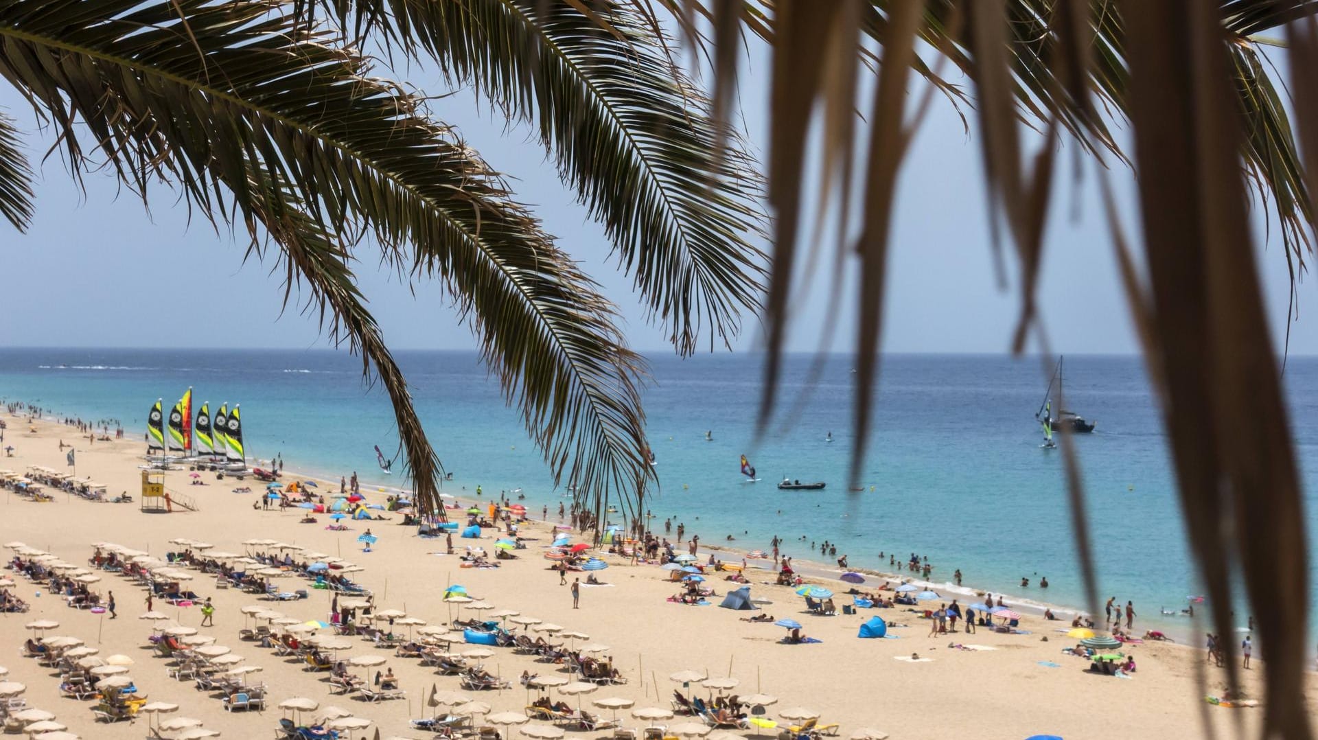 Blick auf Sonnenschirme und Liegen am Strand: Ein Pauschaltourist streitet mit TUI um 7.000 Euro.