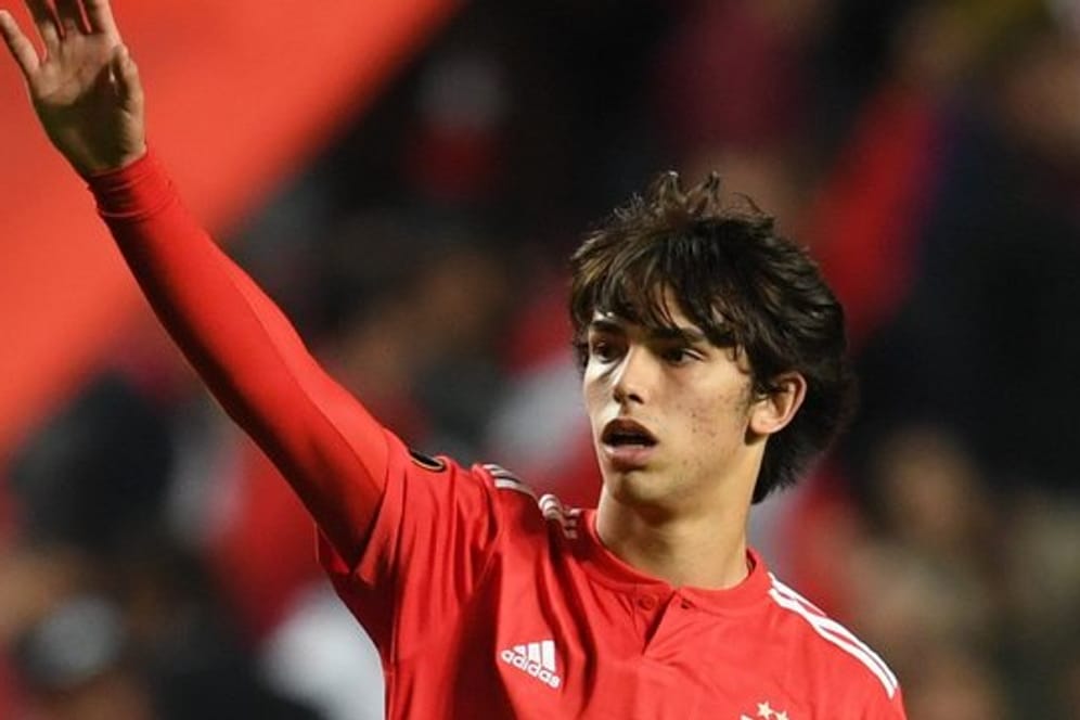 Ist bei Benfica der Shootingstar: João Félix.
